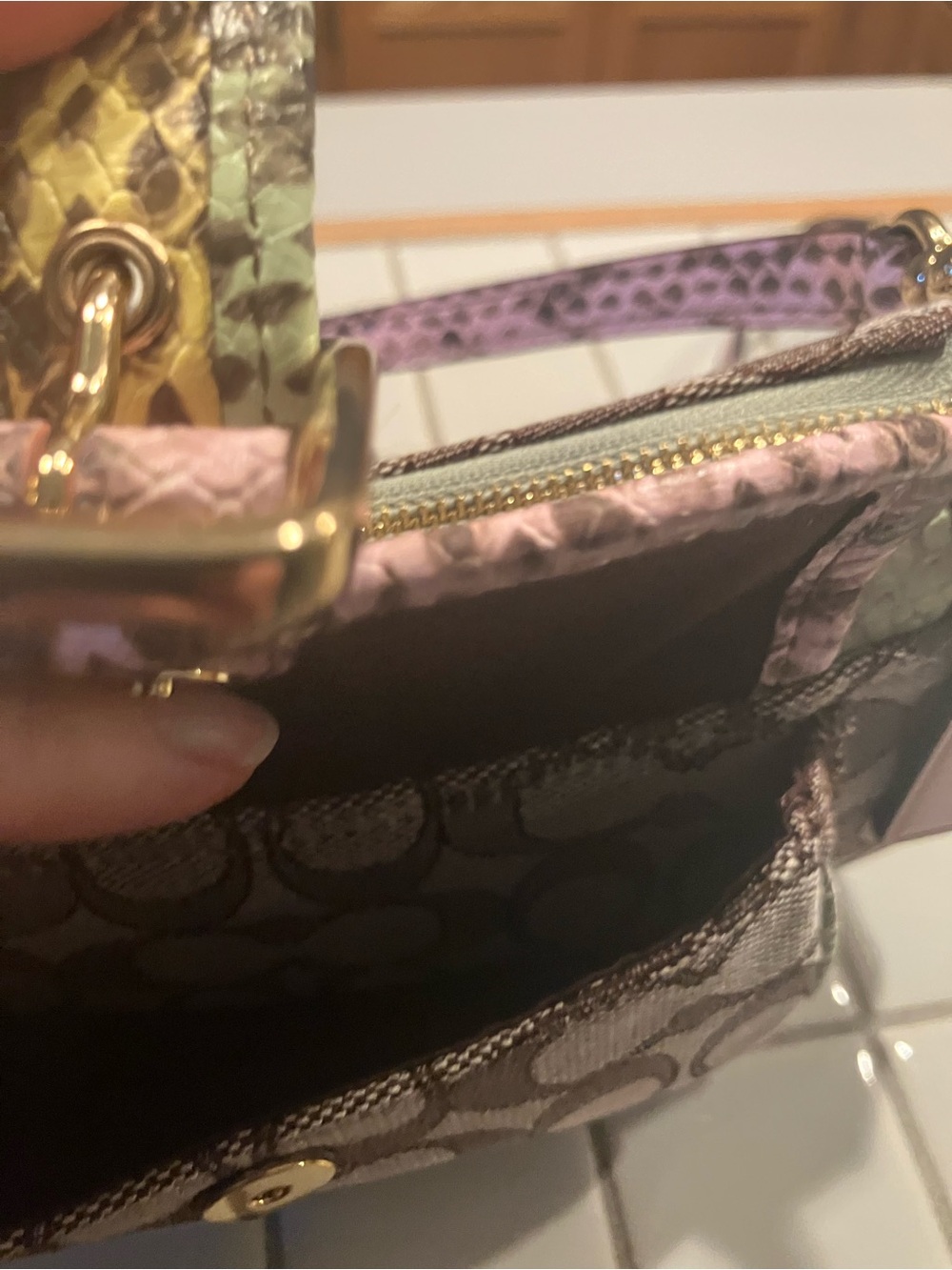 Coach Crossbody Bag in Signature Print with Green Snake-Print Accents - Picture 6 of 10